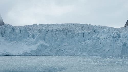 Gestrandet im ewigen Eis Bild 2