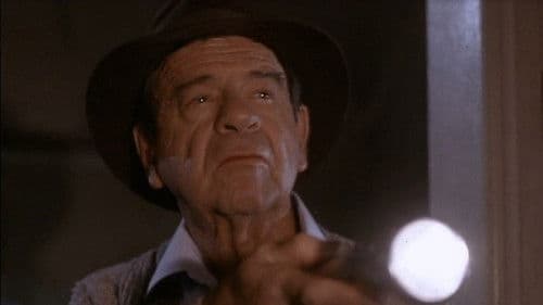 Anwalt des Feindes Bild 3