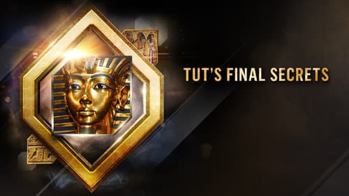 Tut's Final Secrets Bild 3