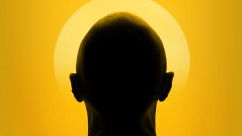 Auf der Suche nach dem Sinn des Lebens Bild 1