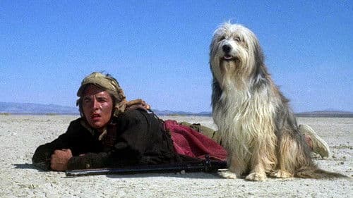 Der Junge mit dem Hund Bild 8