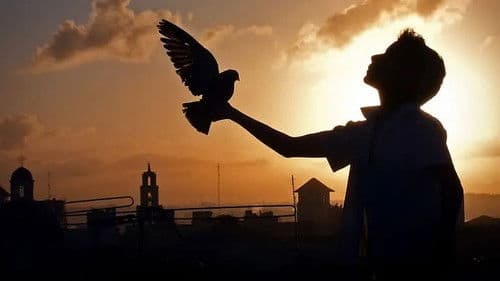 Conducta - Wir werden sein wie Che Bild 1