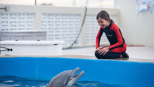 Bernie der Delfin 2 - Ein Sommer voller Abenteuer Bild 1