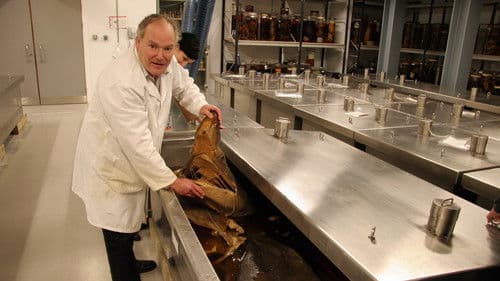 Eine Nacht im Museum Bild 2