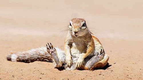 When Nature Calls with Helen Mirren Bild 1