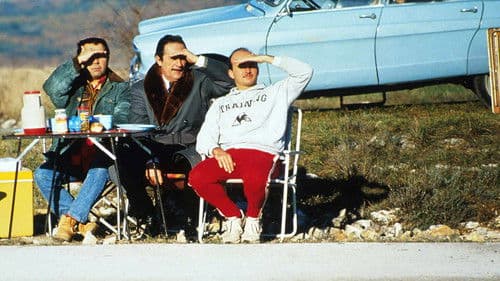 Ein unzertrennliches Gespann Bild 4