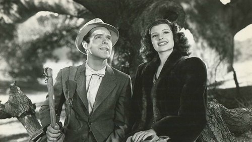 Blondie on a Budget Bild 1