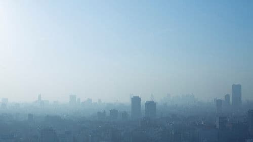 West North West Bild 5