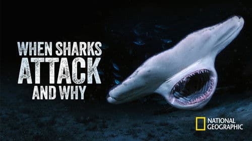 When Sharks Attack... and Why Bild 3