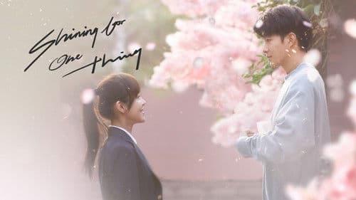 一闪一闪亮星星 Bild 4