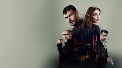 Kaosun Anatomisi Bild 1