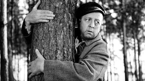 Karbid und Sauerampfer Bild 3