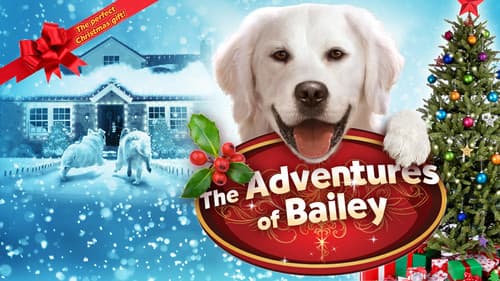 Adventures of Bailey: Christmas Hero Bild 4