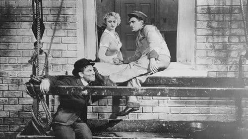 Letting in the Sunshine Bild 1