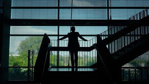 The Wing Girl Bild 5