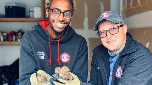 Louis et la faune urbaine Bild 1