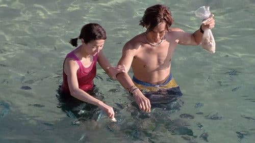 夏日的麼麼茶 Bild 1