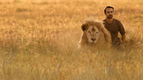 The Lion Ranger Bild 7