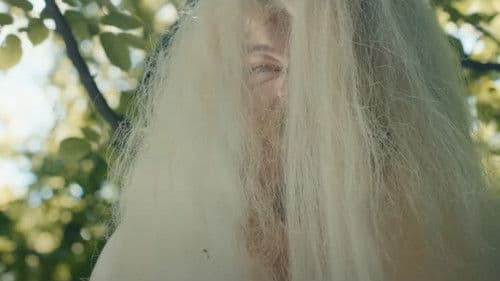 DZIDZIO: Павук Bild 4