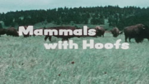 Mammals With Hoofs Bild 1