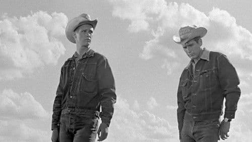 Der Wildeste unter Tausend Bild 4