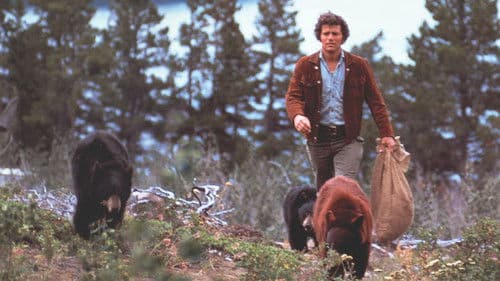 Meine Bären und ich Bild 5