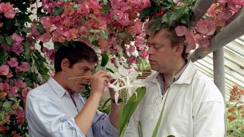 Pigen fra Egborg Bild 6