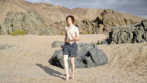 Crystal Fairy - Hangover in Chile Bild 3