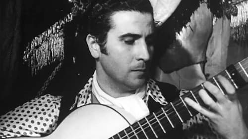 Nous, les Gitans Bild 1