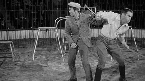 Fifi la plume Bild 6