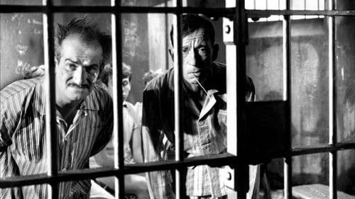 Wenn Louis eine Reise tut Bild 3