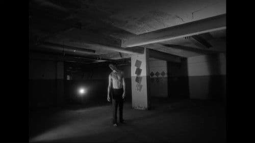 Heaven is Nobody's Bild 4