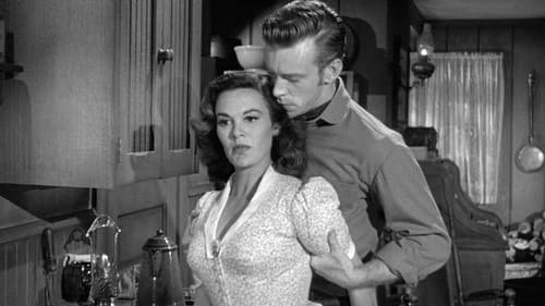 Der schwarze Mustang Bild 2