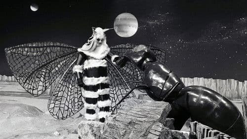 Doctor Who: The Web Planet Bild 2