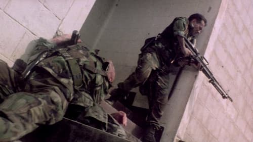 Geheimcode Wildgänse Bild 5