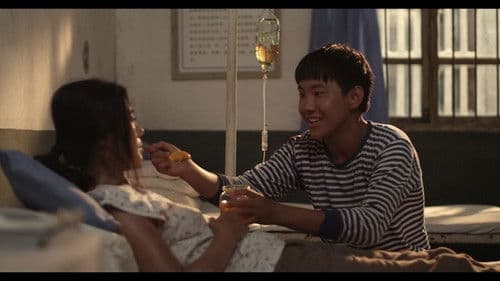 Three Bags of Rice Bild 3