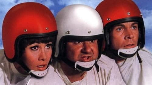 Ein toller Käfer Bild 7