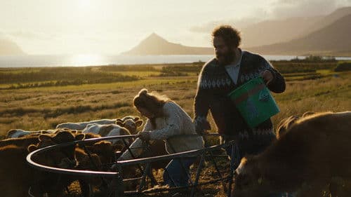 Sommerlicht, und dann kommt die Nacht Bild 3