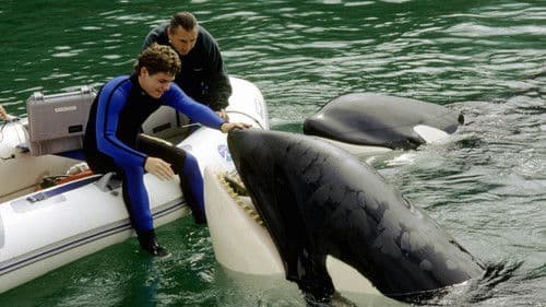 Free Willy 3 - Die Rettung Bild 4