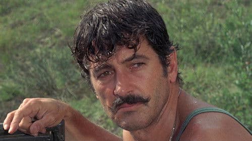 Das Wespennest Bild 3