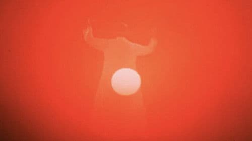 Ich werde laufen wie ein verrücktes Pferd Bild 4