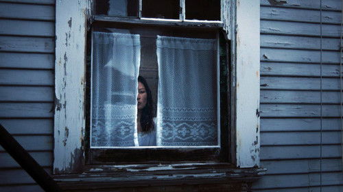 They Live in the Grey Bild 4