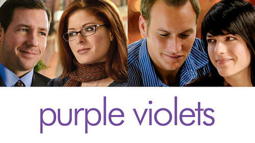 Purple Violets Bild 2