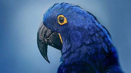 Bronx Zoo - Tierpark der Superlative Bild 2