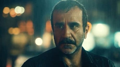 حیثیت گمشده Bild 1