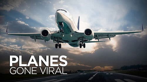 Planes Gone Viral Bild 1