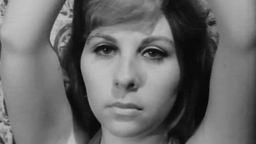 Fly Now, Pay Later Bild 1