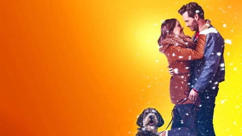 A Furry Little Christmas Bild 3