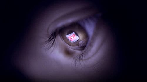 The YouTube Effect Bild 1