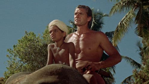 Tarzan erobert Indien Bild 7